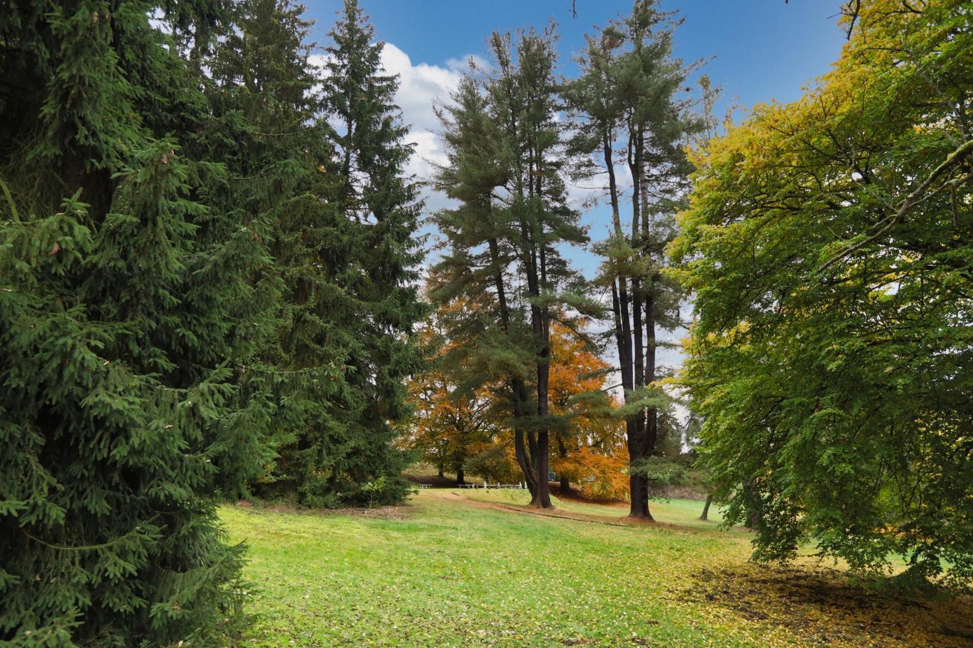 Pension U Golfu Cihelny Karlovy Vary Extérieur photo