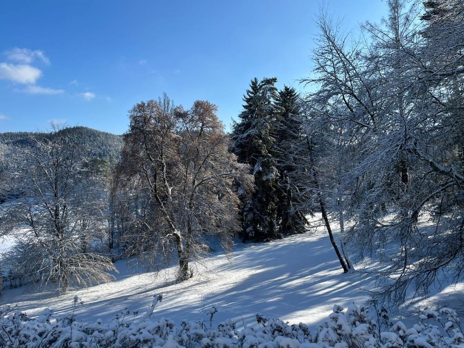 Pension U Golfu Cihelny Karlovy Vary Extérieur photo