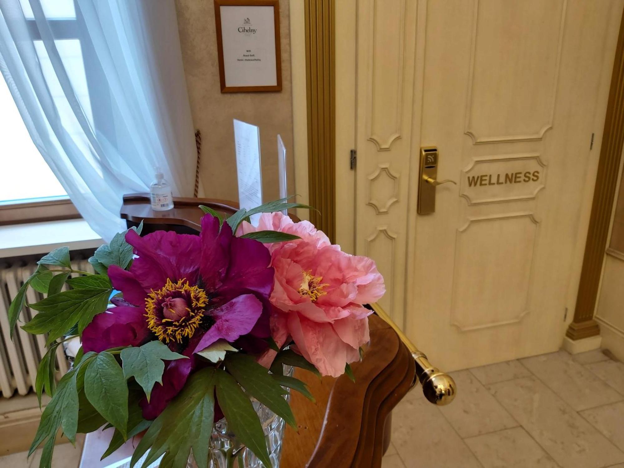 Pension U Golfu Cihelny Karlovy Vary Extérieur photo